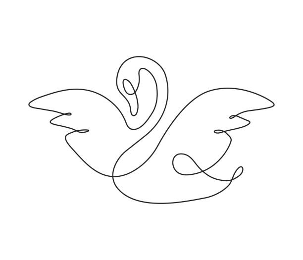 Dina & Jonathan Wedding